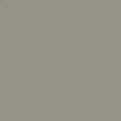 Szary platynowy